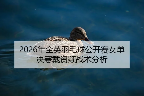 nian-quan-ying-yu-mao-qiu-gong-kai-sai-nv-dan-jue-sai-dai-zi-ying-zhan-shu-fen-xi-2-355.jpg