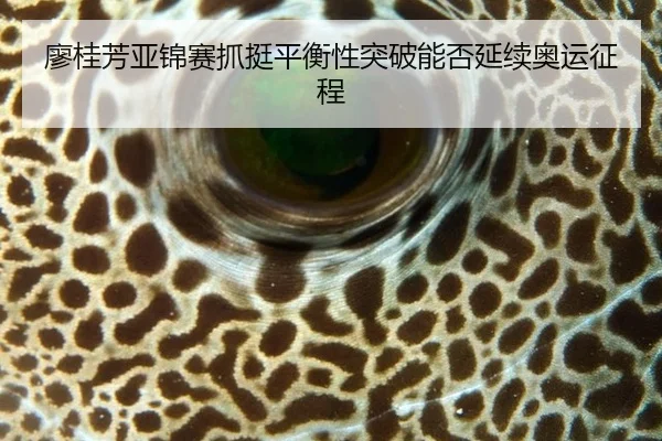 liao-gui-fang-ya-jin-sai-zhua-ting-ping-heng-xing-tu-po-neng-fou-yan-xu-ao-yun-zheng-cheng-3-251.jpg