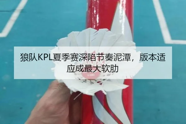 狼队KPL夏季赛深陷节奏泥潭，版本适应成最大软肋