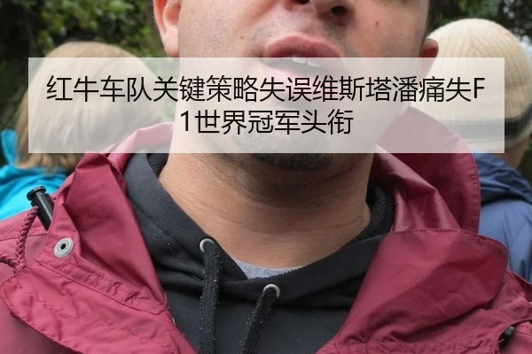 红牛车队关键策略失误维斯塔潘痛失F1世界冠军头衔