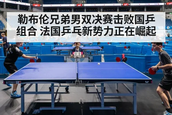 勒布伦兄弟男双决赛击败国乒组合 法国乒乓新势力正在崛起
