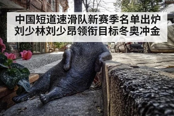 中国短道速滑队新赛季名单出炉刘少林刘少昂领衔目标冬奥冲金