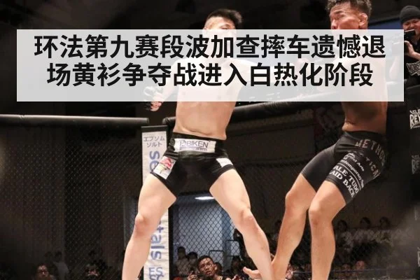 环法第九赛段波加查摔车遗憾退场黄衫争夺战进入白热化阶段