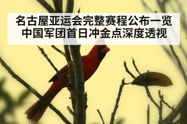 名古屋亚运会完整赛程公布一览 中国军团首日冲金点深度透视